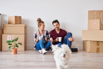Moving With Pets: 8 Tips to Calm Dogs' Anxiety when Moving to a New Home
