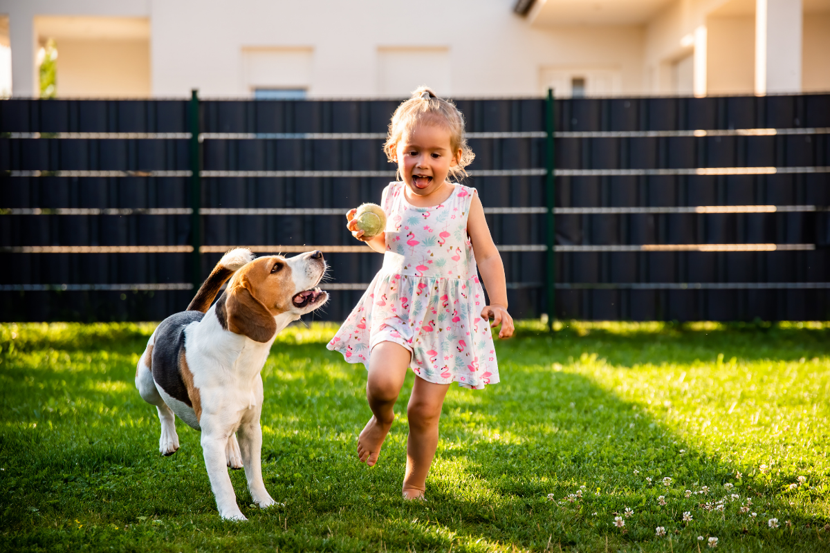 How To Get Rid Of Dog Poop Smell In Yard