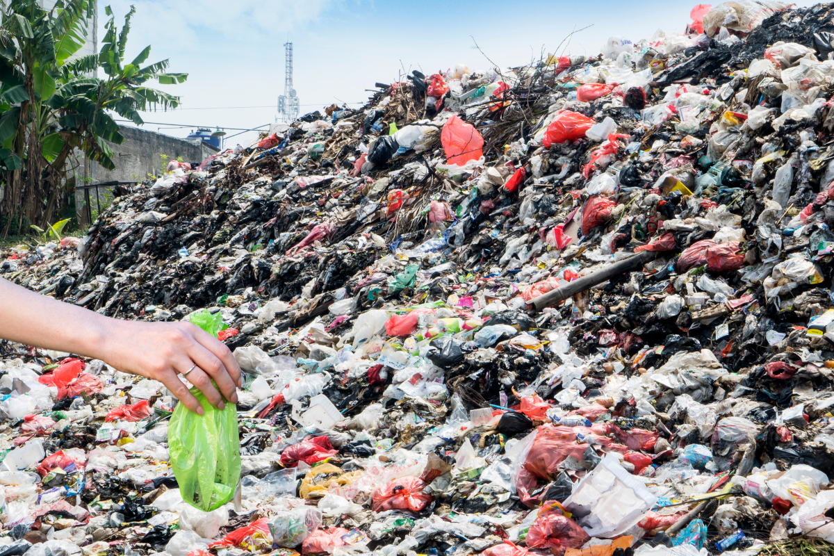 The Truth About Compostable Poop Bags for Dogs in Landfills