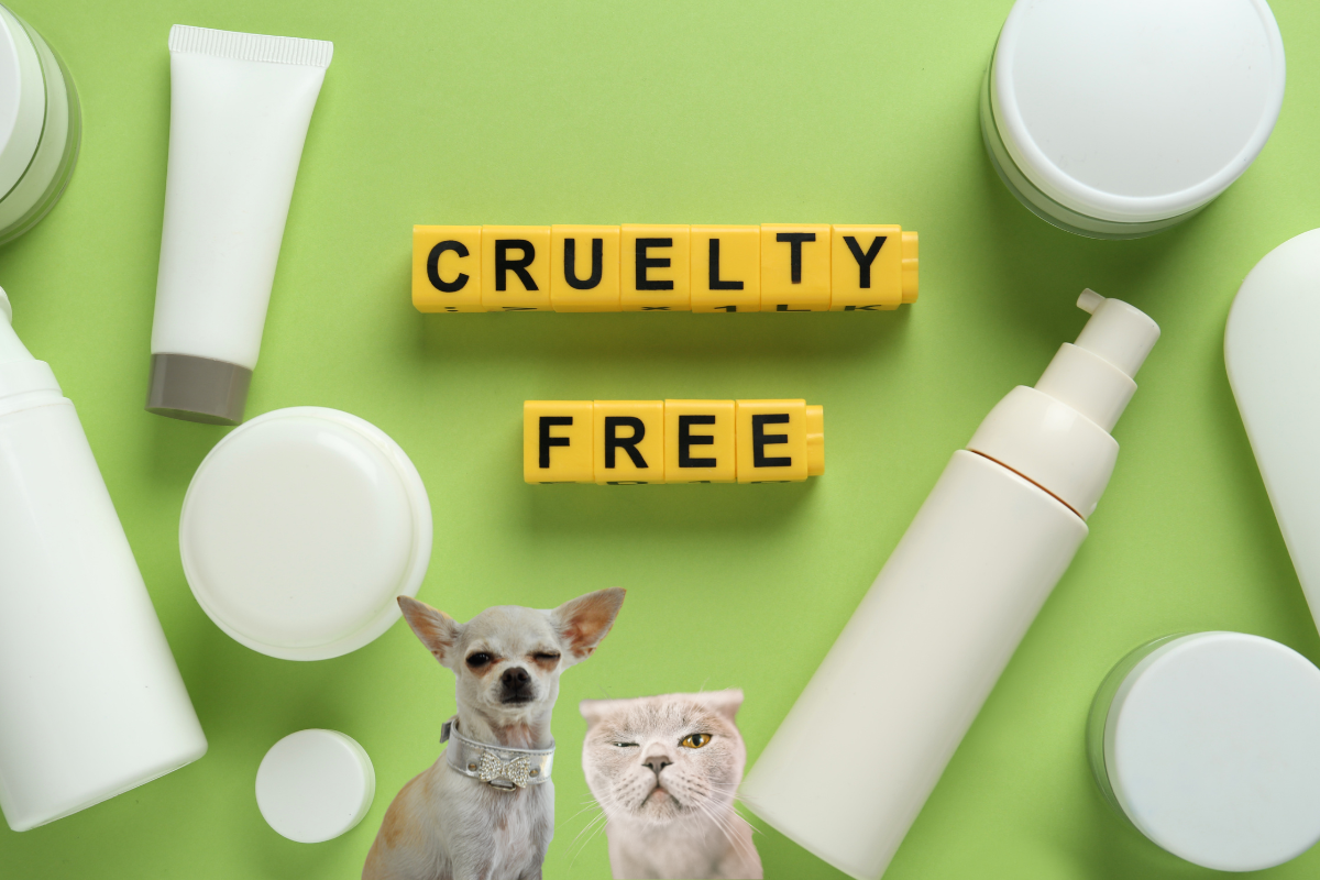 The Growing Movement Towards Cruelty-Free Pet Care