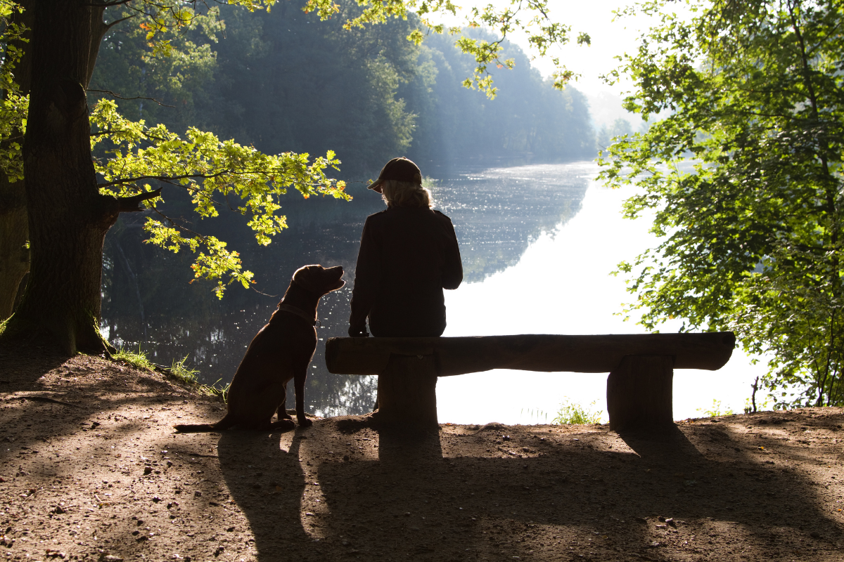 My Dog Died And I Feel Empty: How To Survive The Grieving For My Pup's Death