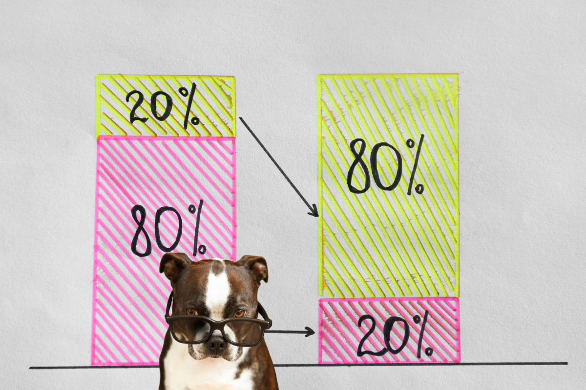 Pareto Principle in Pet Care: Smart Budgeting for Your Furry Friends