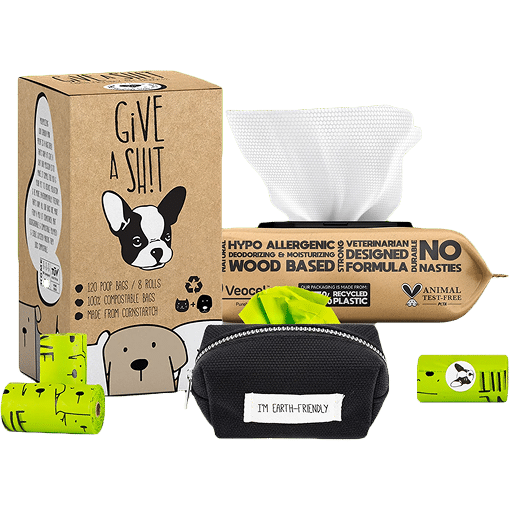 WALK ESSENTIALS KIT