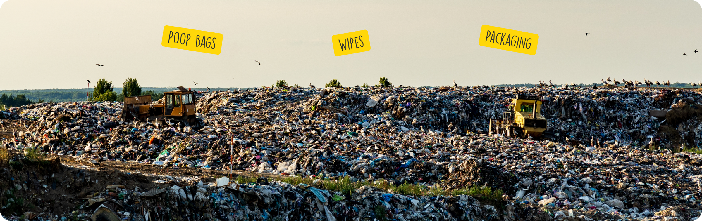 Landfill with heavy machinery and birds in the sky