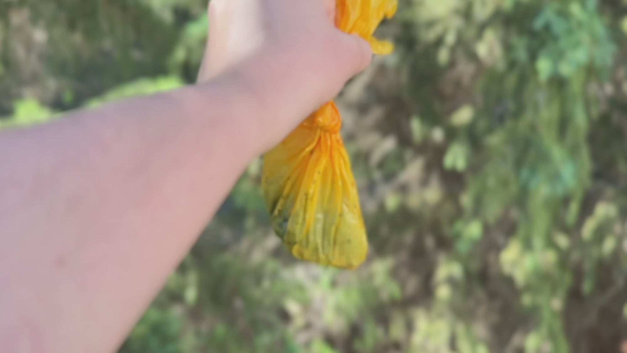 GIVE A SH!T long compostable dog poop bags with handles video customer review testimonial, real user experience with large dogs, TÜV certified home compostable